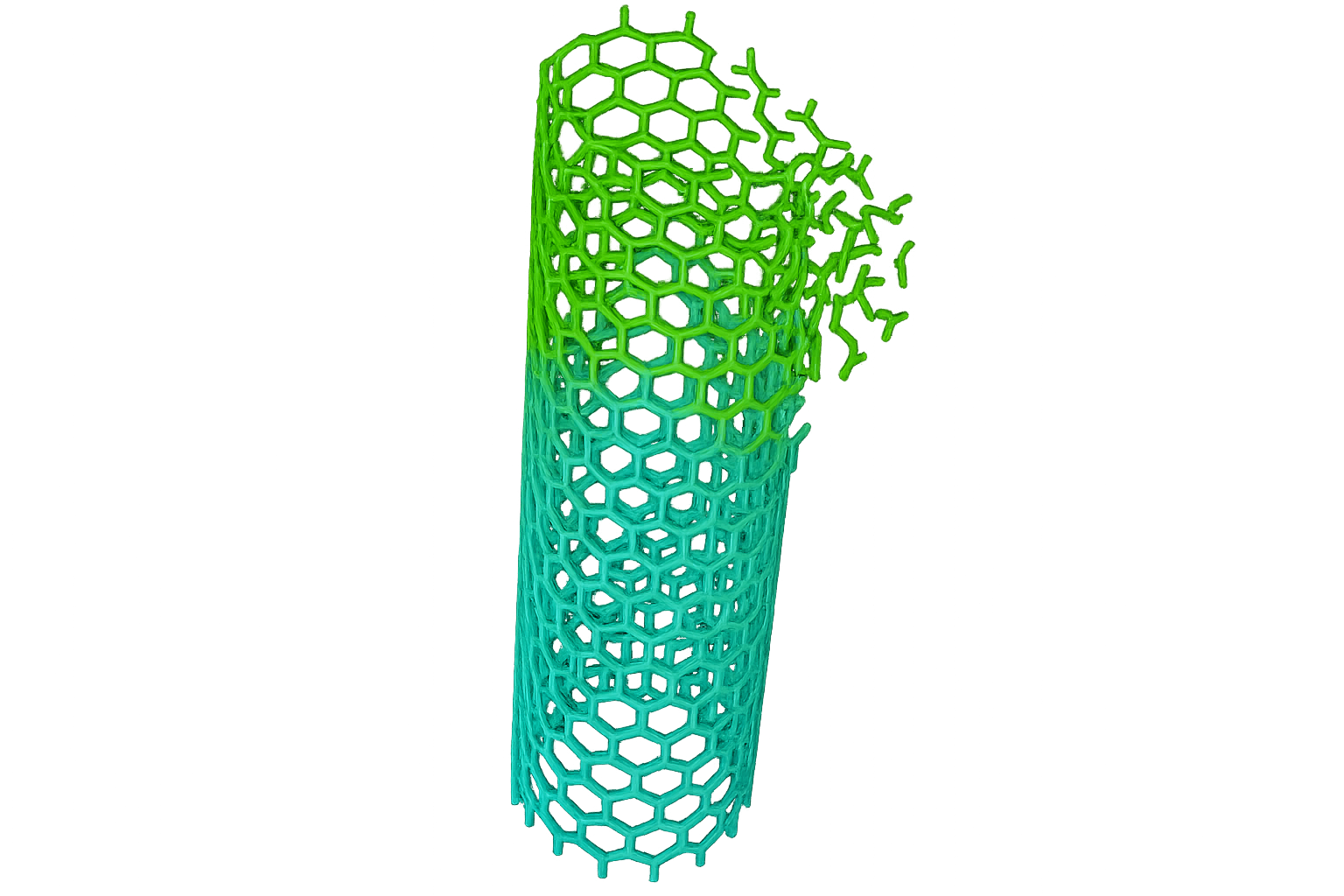 Carbon Nanotube
